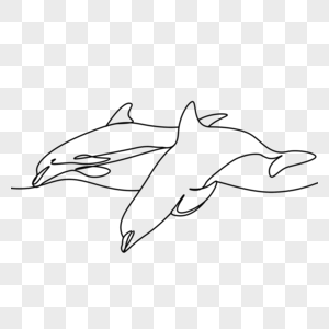 抽象线条画跳跃海豚图片