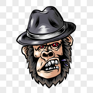 帽子t恤黑猩猩图片