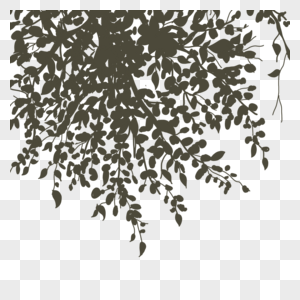 黑白植物树木叶片剪影图片