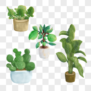 肌理室内植物盆栽图片