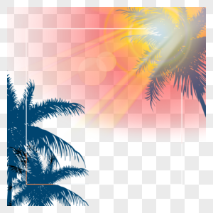 阳光照射椰树植物边框图片