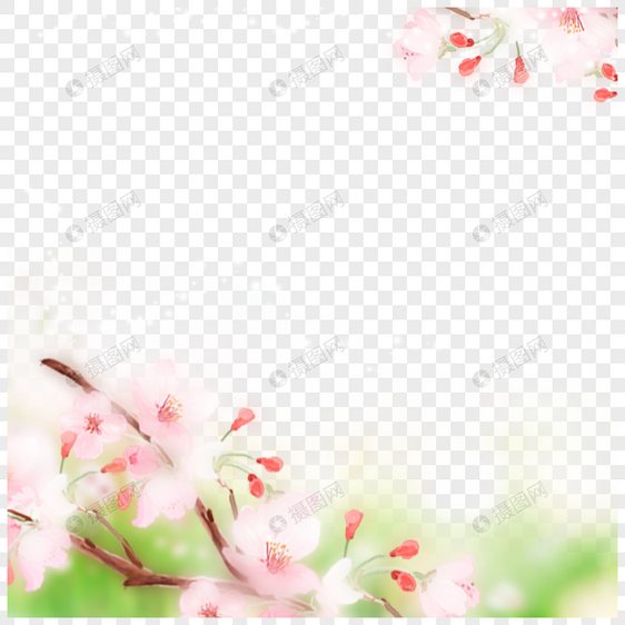 浪漫粉色樱花边框图片