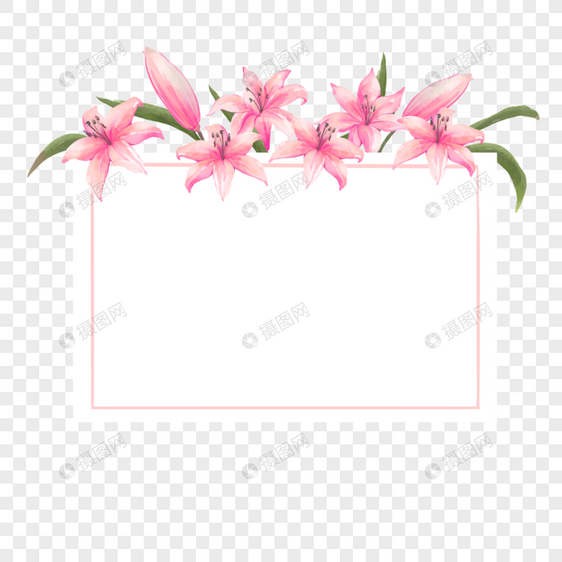 粉色百合花婚礼边框花苞图片