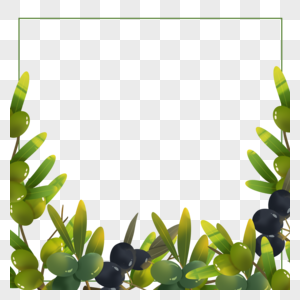 绿色橄榄创意边框图片
