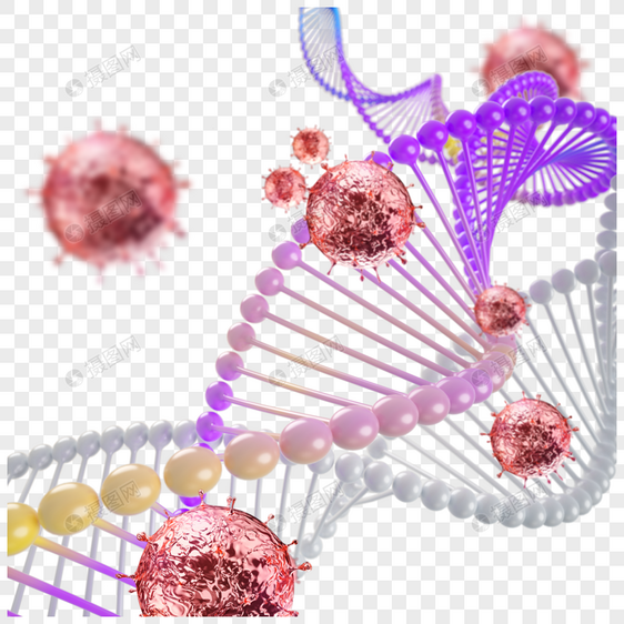 dna和新型冠状粉紫色图片