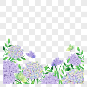 绣球花卉紫色水彩蝴蝶边框图片