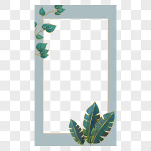植物叶子ins风格淡蓝色边框图片