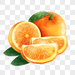 橘子水彩风格水果维生素果肉图片