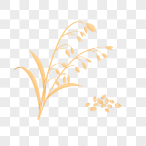 水彩小麦燕麦胚芽图片