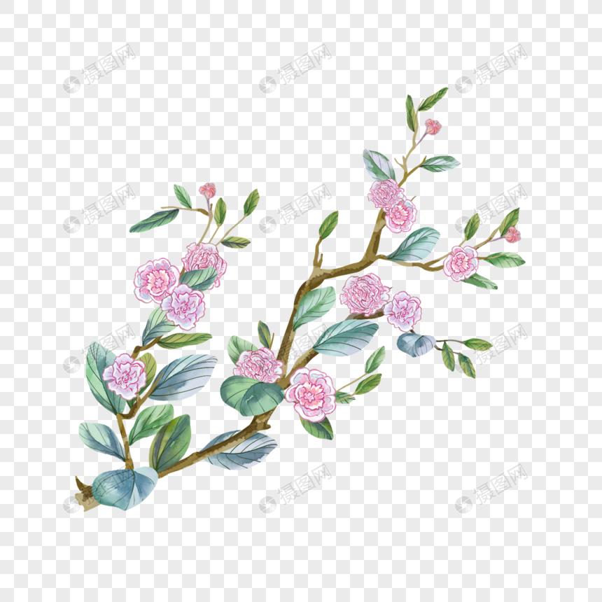 花卉水彩植物装饰元素素材下载 正版素材 摄图网