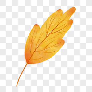 金黄脉络纹理水彩秋季树叶图片