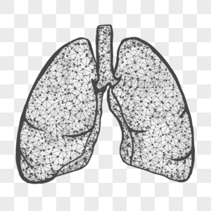 抽象多边形肺身体健康图片