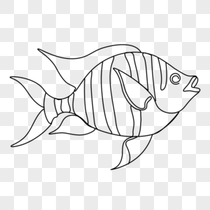 艺术线条画可爱海洋动物小鱼图片