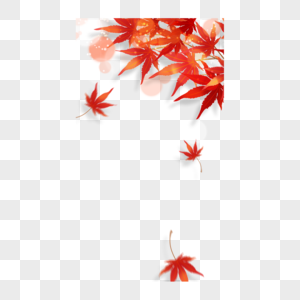 秋季光效树叶故事边框自然红色图片