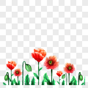水彩红色植物花卉边框图片