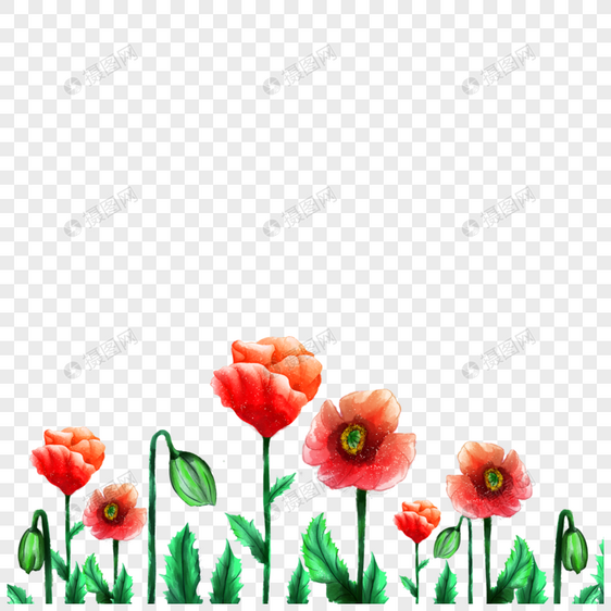 水彩红色植物花卉边框图片