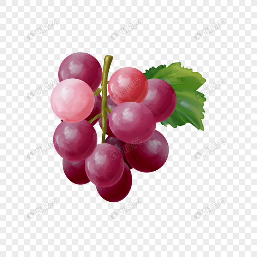水彩食物水果葡萄图片