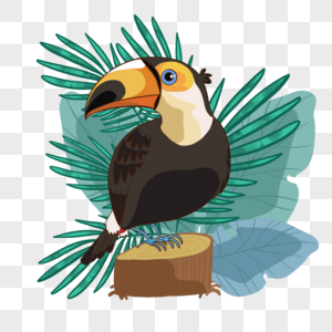 可爱夏季热带植物巨嘴鸟高清图片
