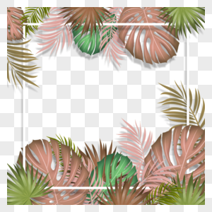 手绘立体夏天彩色棕榈叶白色正方形线条边框图片