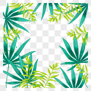 夏季热带水彩叶子植物边框图片