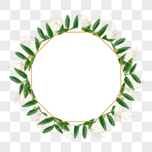 婚礼金枝树叶边框装饰植物图片