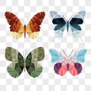 低聚多彩森林蝴蝶图片