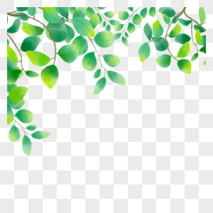成群植物水彩尤加利叶边框图片