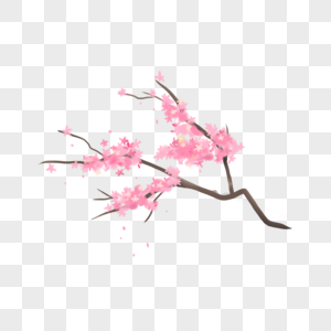 水彩粉色樱花简笔画图片