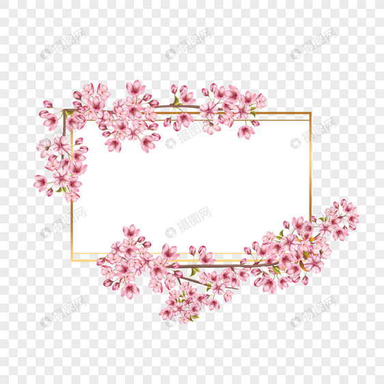 樱花开放树枝盛开花卉边框图片