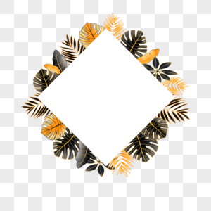 夏季黑金热带树叶菱形白色边框图片
