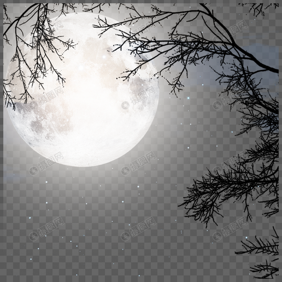 树林遮挡着的月亮图片