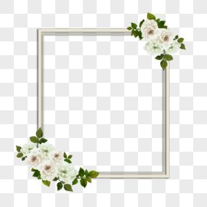 玫瑰花植物花卉白色长方形边框图片