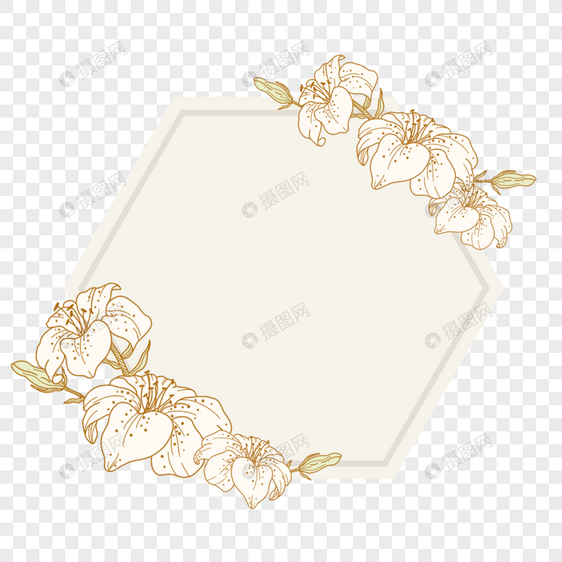 金色线稿六边形花卉边框图片