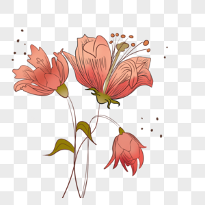 花卉卡通风格抽象线稿花朵图片