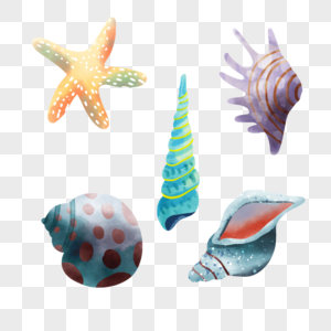 贝壳海洋水彩组合海里动物的外壳图片
