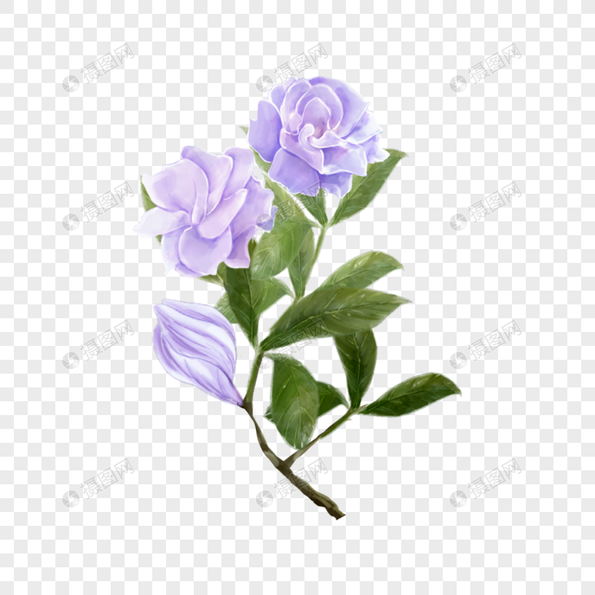 栀子花紫色水彩婚礼花卉元素素材下载 正版素材 摄图网