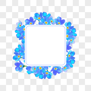 水彩蓝色勿忘我花卉方形边框图片