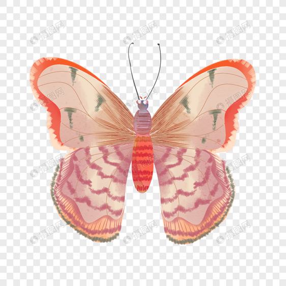 复古画彩色工笔技法水彩蝴蝶图片