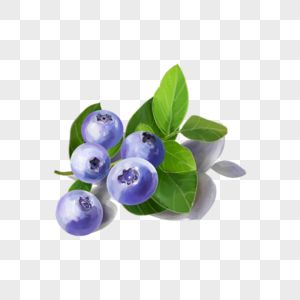 水彩水果食物蓝莓与叶子图片