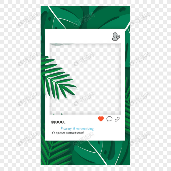 热带树叶宝丽来故事边框绿色自然图片