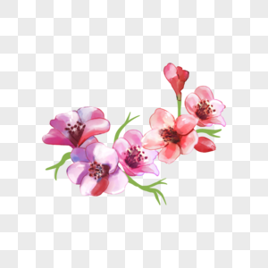 水彩花卉海棠花小花图片