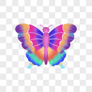 彩色光效美丽蝴蝶图片