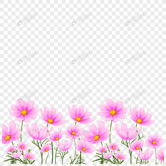 水彩粉色格桑花卉边框创意图片