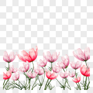 水彩鲜艳格桑花卉边框图片