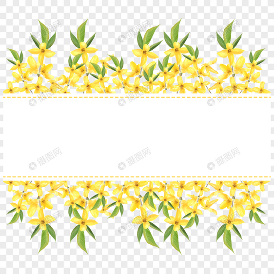 黄色水彩连翘花枝花卉边框图片