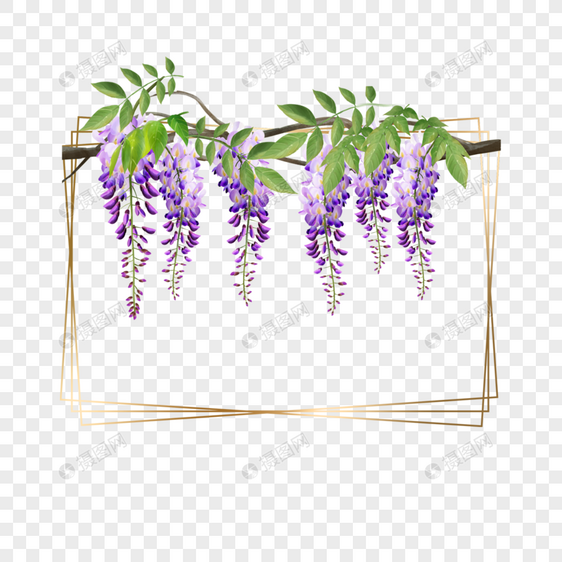 紫色水彩紫藤花卉金色边框图片