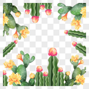 水彩仙人掌花朵植物边框图片