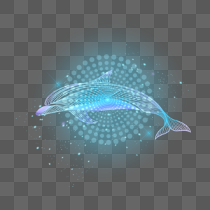 星海海洋动物数字概念蓝海豚图片