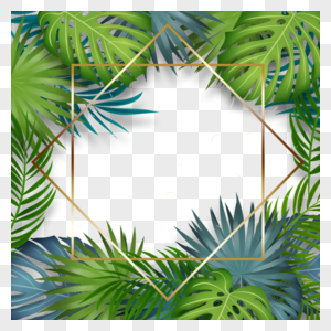 几何夏季棕榈叶金线边框图片