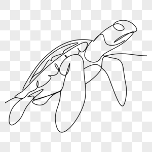 抽象线条画动物乌龟图片素材